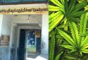 Watchman arrest who culture ganja plant at Vazhakarutheeswarar Temple
